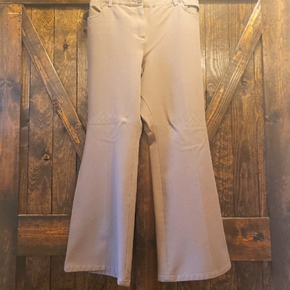 Lane Bryant trousers
